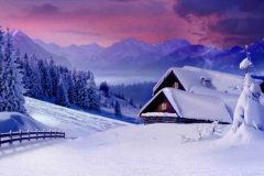 <strong>它不仅具备了国际大牌的</strong>