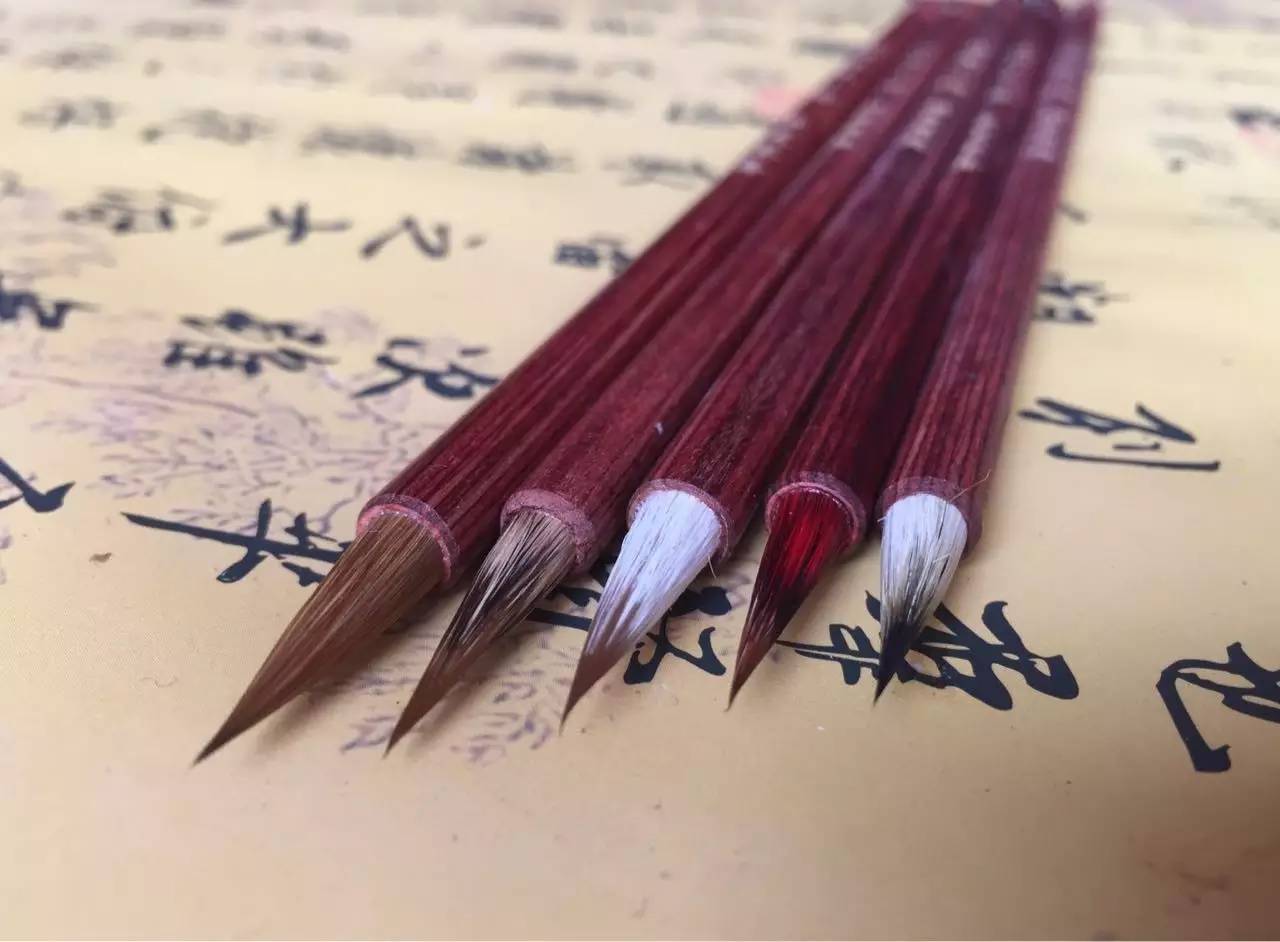 形成刚柔相济的独特张力